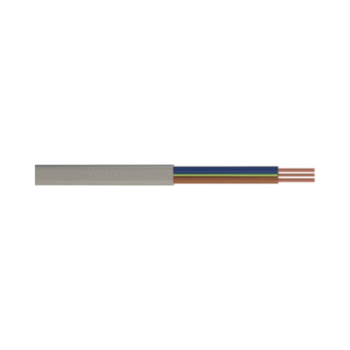 EARTHSURE 1.0MM 2C+E 100
